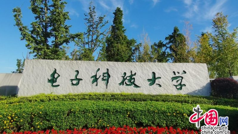 企业电子产品集中采购：如何规避风险，确保品质**